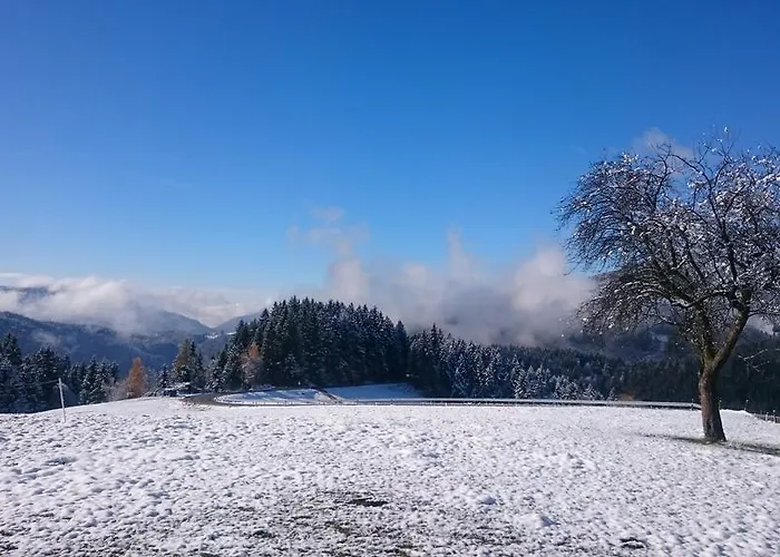 Turisticna Kmetija Ramsak * Zreče